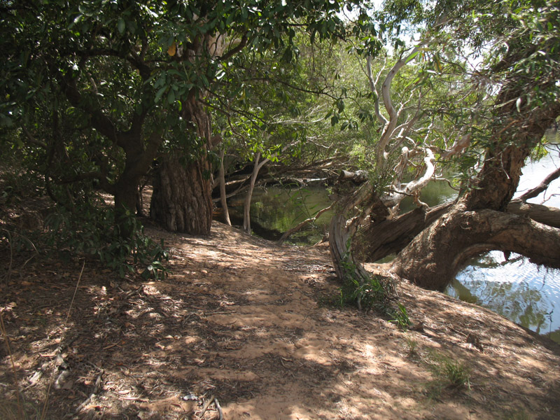 Lakefield National Park - Walkabout